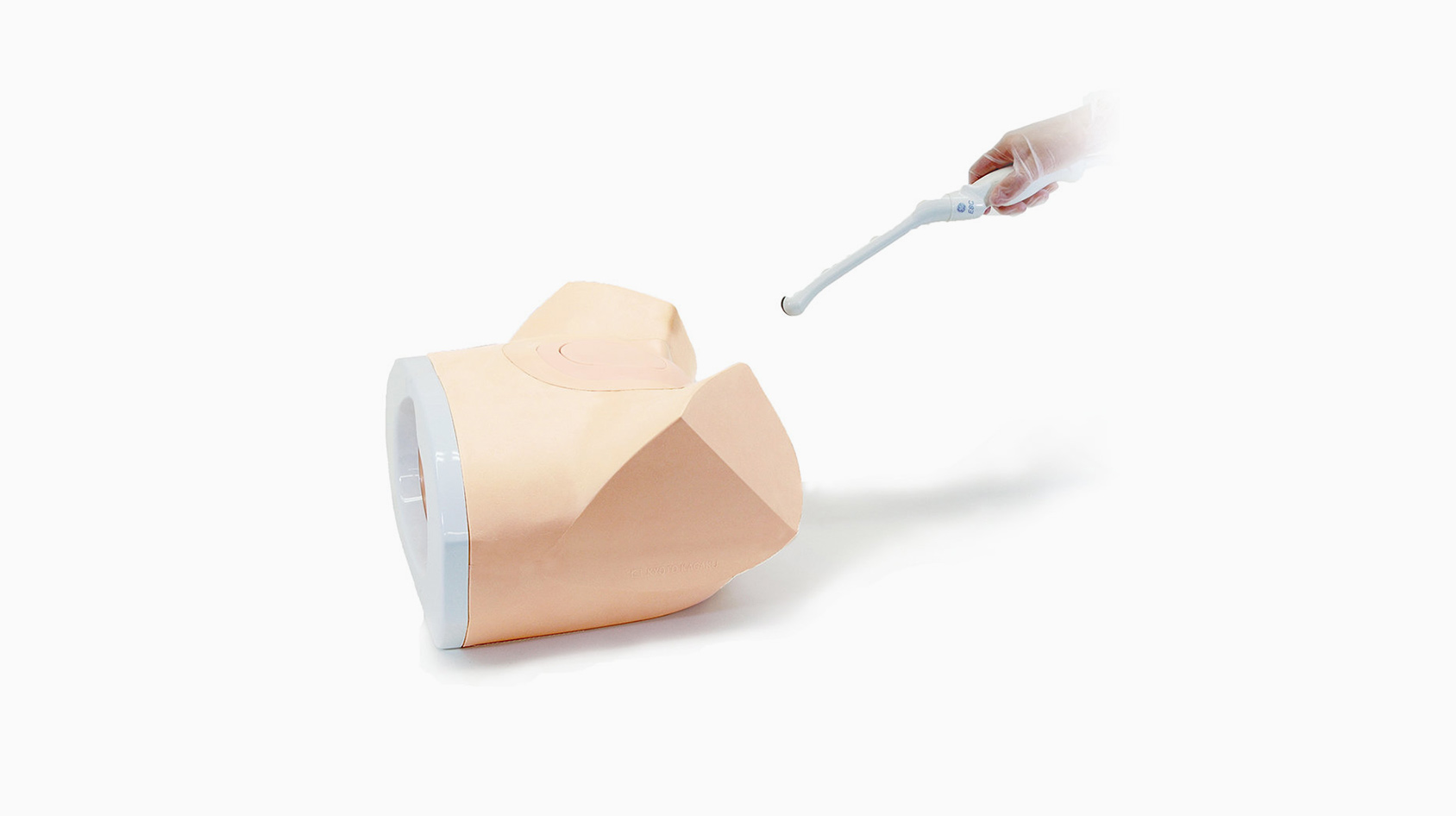 Female Pelvic Ultrasound Phantom