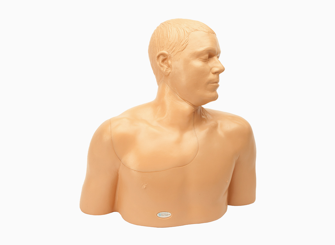 Simulador de Cateterismo Venoso Central Ecoguiado