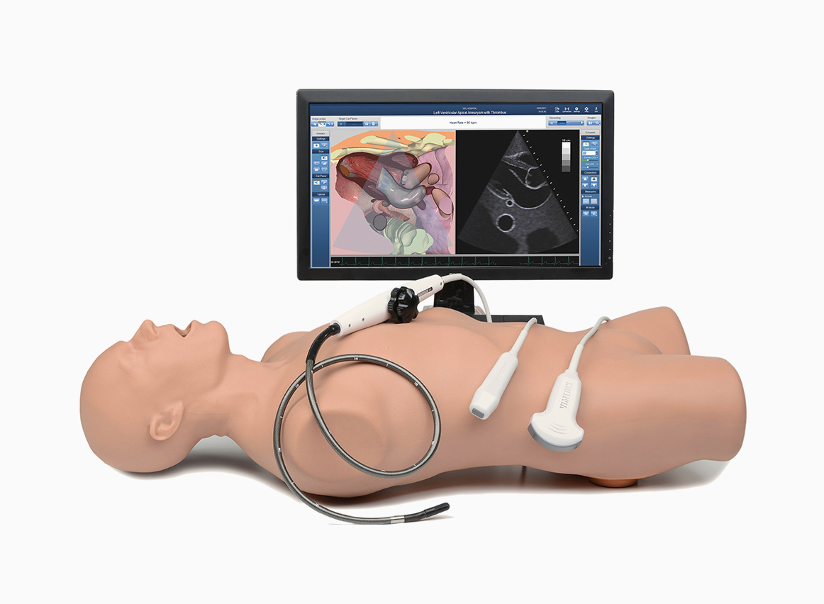 Simulador de Ecografia Cardíaca, Abdominal e Torácica - 4